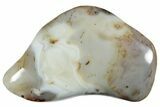 Polished Agate - Madagascar #237619-1